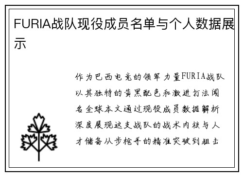 FURIA战队现役成员名单与个人数据展示